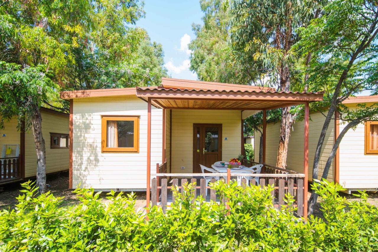 Camping Le Palme Marina di Bibbona Kültér fotó